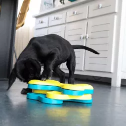 jeu mental pour chien, jouets pour chiens intelligents, tornado Nina ottosson