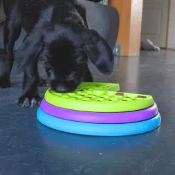 jouet de léchage pour chien Favoriser le bien-être mental et physique du chien grâce au jouet Lickin'Layers Nina Ottosson