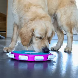Jeu d'intelligence intéractif , occupation chien , distribution friandises pour chiens, jeu Nina Ottosson Dog Twister