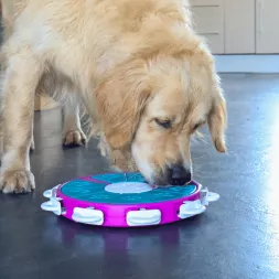 Jeu d'intelligence intéractif , occupation chien , distribution friandises pour chiens, jeu Nina Ottosson Dog Twister
