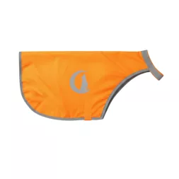 Gilet de visibilité pour chien, equipement de visibilité chien, balade avec son chien, protéger son chien des chasseurs