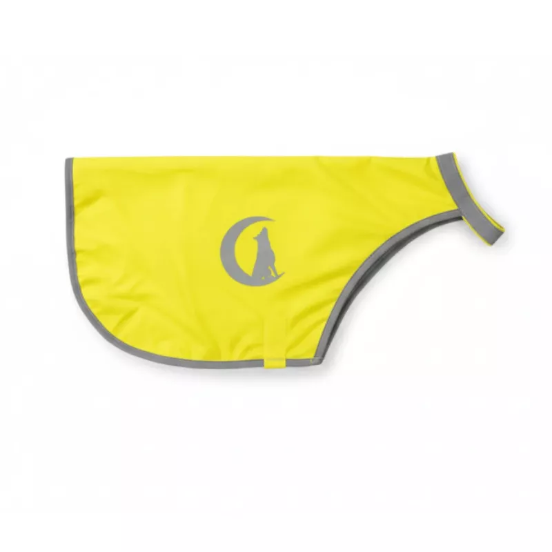 Gilet de visibilité pour chien, equipement de visibilité chien, balade avec son chien, protéger son chien des chasseurs