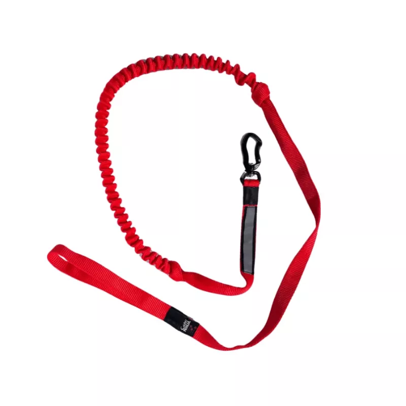 ligne canicross petit chien, laisse traction petit chien, canicross petit chien