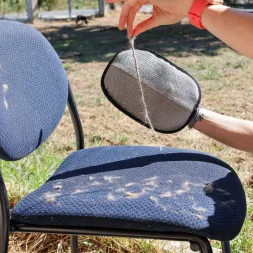 Gant anti-poils, gant poil de chien, retirer poils de chien sur canapé, retirer poils de chien dans voiture, gant chien