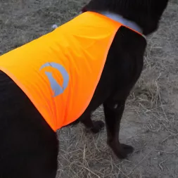 Gilet de visibilité