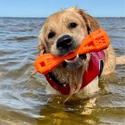 Stick flottant orange