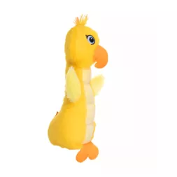 Sunny le Canari