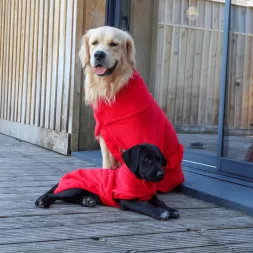 Peignoir pour chien
