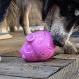 Flip le Cochon