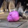 jouet à remplir, jouet pour chien, jouet à fourrer, Canigourmand, Jouet d'Occupation, chien, jouet résistant, jouet drôle chien