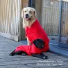 Peignoir pour chien, peignoir microfibre, essuyer son chien, serviette pour chien, sécher son chien