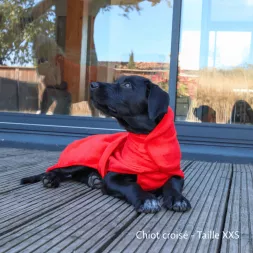 Peignoir pour chien, peignoir microfibre, essuyer son chien, serviette pour chien, sécher son chien