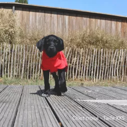 Peignoir pour chien, peignoir microfibre, essuyer son chien, serviette pour chien, sécher son chien