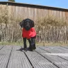 Peignoir pour chien, peignoir microfibre, essuyer son chien, serviette pour chien, sécher son chien