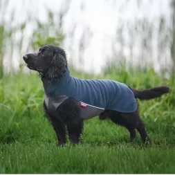 manteau pour chien, polaire pour chien, pull pour chien, pull pour chiot, JumppaPomppa, polaire Pomppa