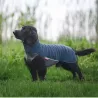 manteau pour chien, polaire pour chien, pull pour chien, pull pour chiot, JumppaPomppa, polaire Pomppa