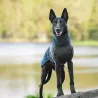 manteau pour chien, polaire pour chien, pull pour chien, pull pour chiot, JumppaPomppa, polaire Pomppa