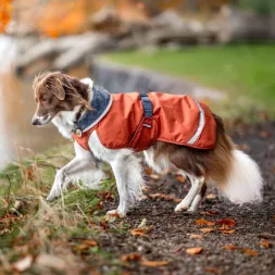manteau pour chien, imperméable pour chien, manteau pour chiot, KevytPomppa, manteau Pomppa, imperméable Pomppa