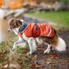 manteau pour chien, imperméable pour chien, manteau pour chiot, KevytPomppa, manteau Pomppa, imperméable Pomppa