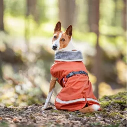 manteau pour chien, imperméable pour chien, manteau pour chiot, KevytPomppa, manteau Pomppa, imperméable Pomppa