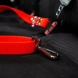 Ceinture de sécurité pour chien hexa, ceinture voiture chien, ceinture sécurité chien