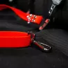 Ceinture de sécurité pour chien hexa, ceinture voiture chien, ceinture sécurité chien