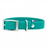 Collier Hexa turquoise pour chien, collier résistant pour chien, collier petit chien, collier chiot, collier pour chien