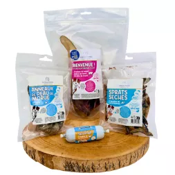 box pour chien, kit découvert, pack friandises, chiot, récompense