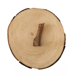 Bois de cerf à macher canigourmand pour chien mastication friandise naturelle résistant