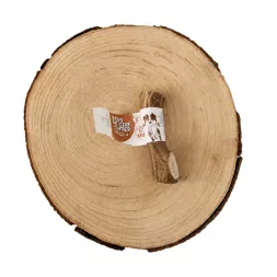 Bois de cerf à macher canigourmand pour chien mastication friandise naturelle résistant