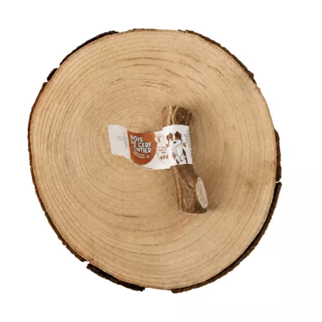Bois de cerf à macher canigourmand pour chien mastication friandise naturelle résistant