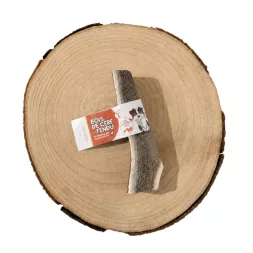 Bois de cerf à macher canigourmand pour chien mastication friandise naturelle résistant