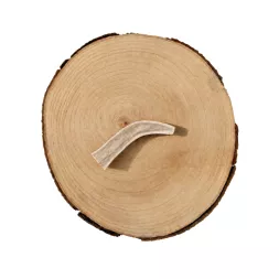 Bois de cerf à macher canigourmand pour chien mastication friandise naturelle résistant