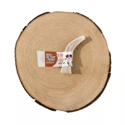 Bois de cerf à macher canigourmand pour chien mastication friandise naturelle résistant