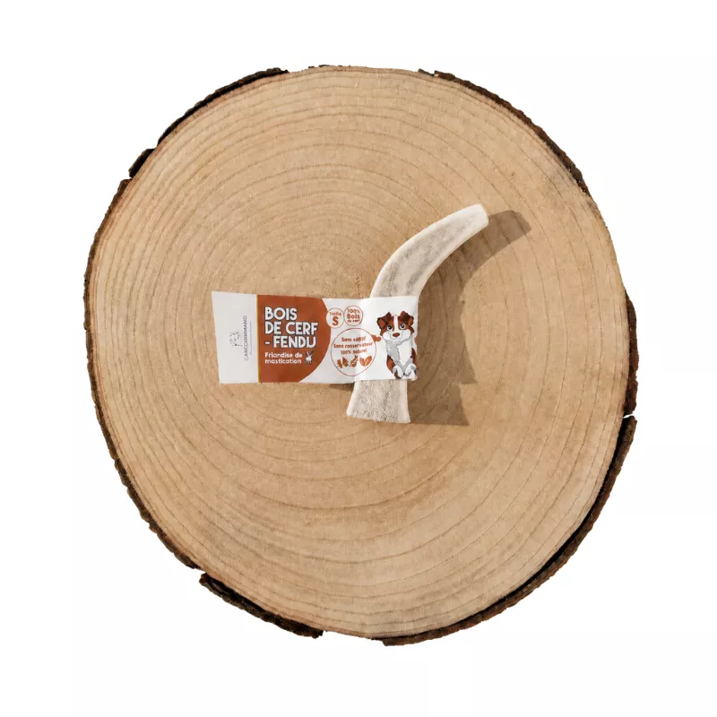 Bois de cerf à macher canigourmand pour chien mastication friandise naturelle résistant