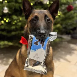 Calendrier de l’Avent pour chien Canigourmand, rempli de friandises naturelles pour un Noël spécial.