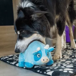 Momo la Vache